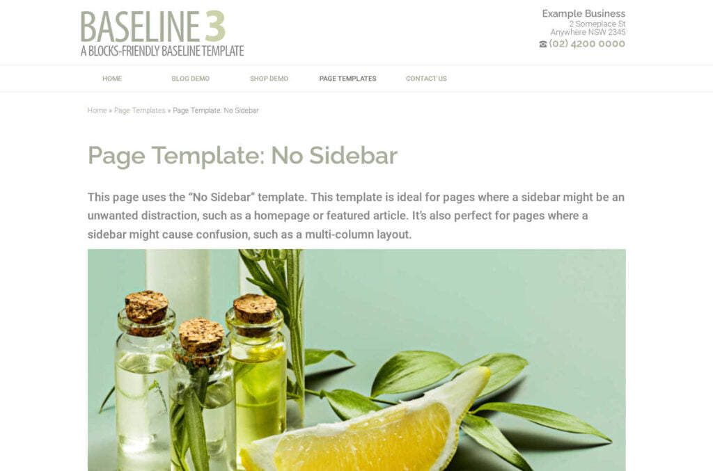 Demonstration of the Baseline theme's no-sidebar page template, a single-column widescreen layout